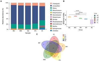 Metagenomics study of soil microorganisms involved in the carbon cycle in a saline–alkaline meadow steppe in the Songnen Plain in Northeast China